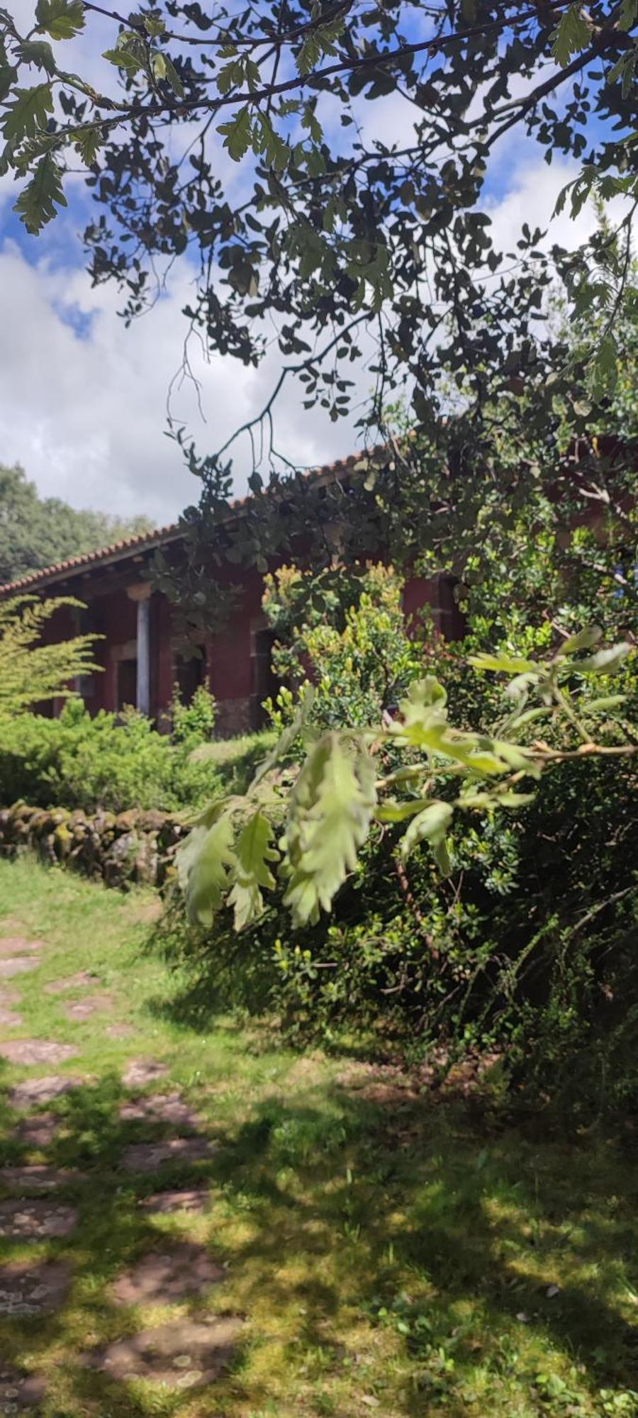 Apartamentos Rurales La Oropendola Jaraiz de la Vera Eksteriør bilde
